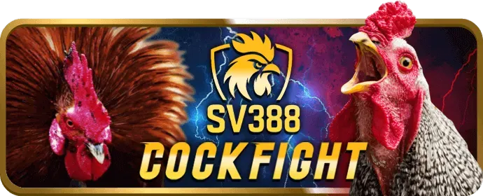 Hoàn trả hàng tuần MV666
